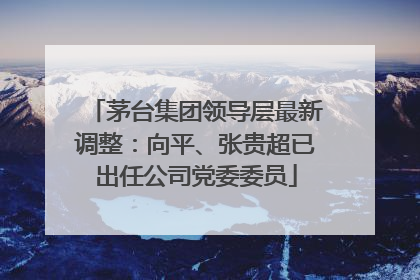 茅台集团领导层最新调整：向平、张贵超已出任公司党委委员