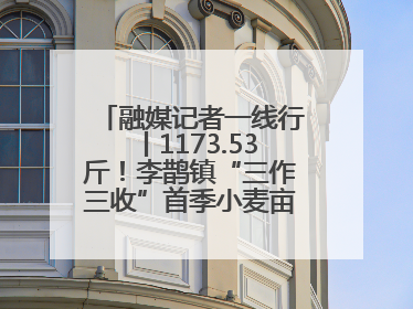融媒记者一线行丨1173.53斤！李鹊镇“三作三收”首季小麦亩产创新高