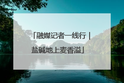 融媒记者一线行｜盐碱地上麦香溢