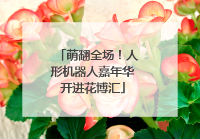 萌翻全场！人形机器人嘉年华开进花博汇