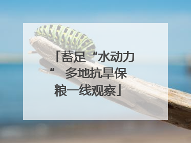 蓄足“水动力” 多地抗旱保粮一线观察