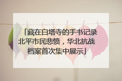 藏在白塔寺的手书记录北平市民悲愤，华北抗战档案首次集中展示