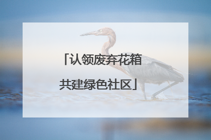 认领废弃花箱 共建绿色社区