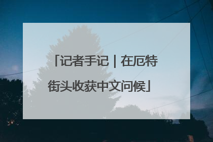记者手记｜在厄特街头收获中文问候