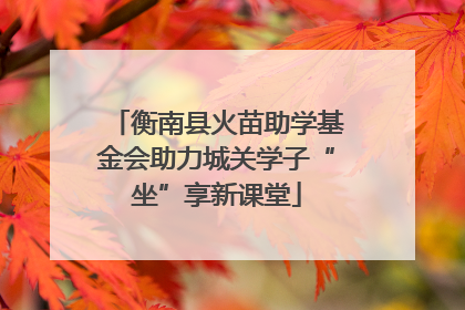 衡南县火苗助学基金会助力城关学子“坐”享新课堂