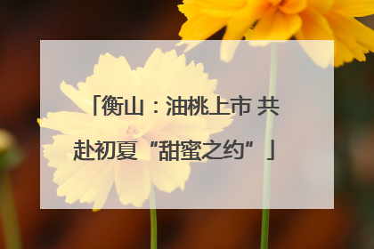 衡山：油桃上市 共赴初夏“甜蜜之约”