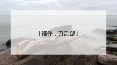 褚伟，升副部