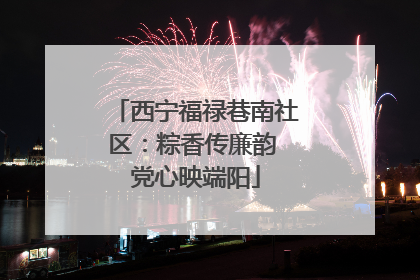 西宁福禄巷南社区：粽香传廉韵 党心映端阳