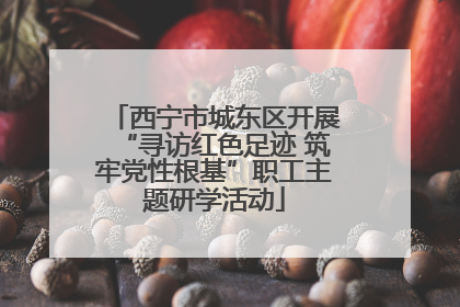 西宁市城东区开展“寻访红色足迹 筑牢党性根基”职工主题研学活动