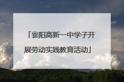 襄阳高新一中学子开展劳动实践教育活动