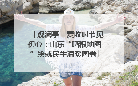 观澜亭｜麦收时节见初心：山东“晒粮地图”绘就民生温暖画卷
