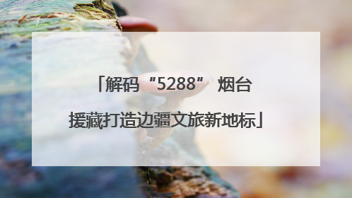 解码“5288” 烟台援藏打造边疆文旅新地标