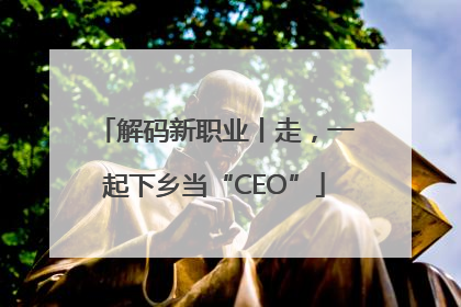 解码新职业丨走，一起下乡当“CEO”