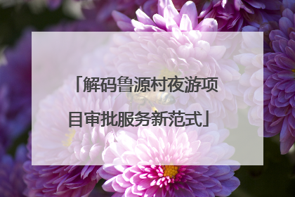 解码鲁源村夜游项目审批服务新范式