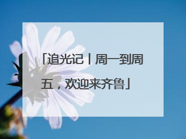 追光记丨周一到周五，欢迎来齐鲁