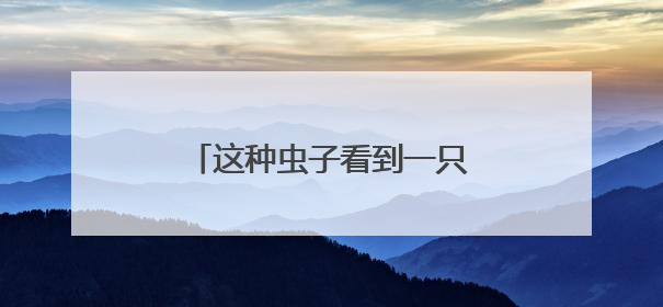 这种虫子看到一只，家里很可能已有一万只（不是蟑螂）