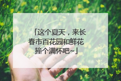 这个夏天，来长春市百花园和鲜花撞个满怀吧~