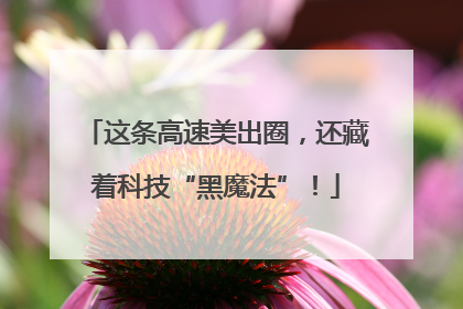 这条高速美出圈，还藏着科技“黑魔法”！
