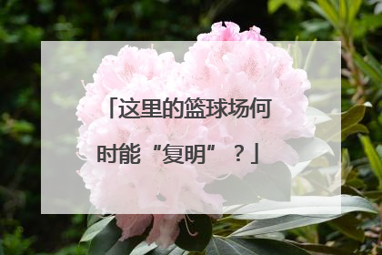 这里的篮球场何时能“复明”？