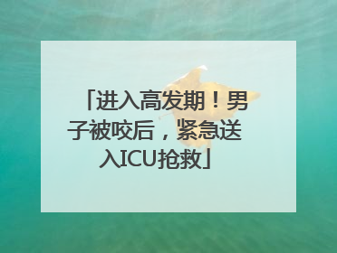 进入高发期！男子被咬后，紧急送入ICU抢救