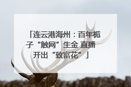 连云港海州：百年栀子“触网”生金 直播开出“致富花”