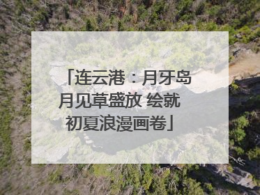 连云港：月牙岛月见草盛放 绘就初夏浪漫画卷