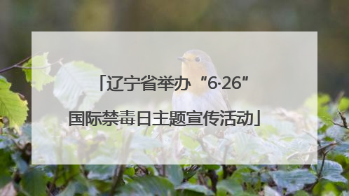 辽宁省举办“6·26”国际禁毒日主题宣传活动