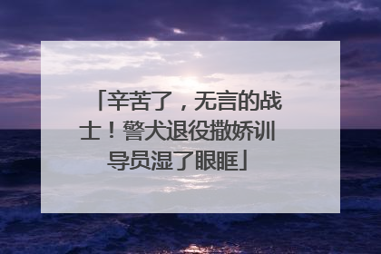 辛苦了，无言的战士！警犬退役撒娇训导员湿了眼眶