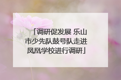 调研促发展 乐山市少先队鼓号队走进凤凰学校进行调研