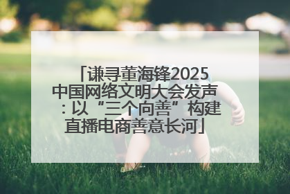 谦寻董海锋2025中国网络文明大会发声：以“三个向善”构建直播电商善意长河