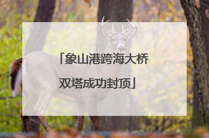 象山港跨海大桥双塔成功封顶