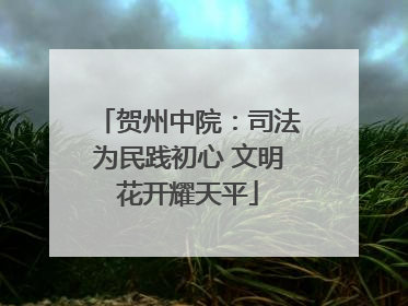 贺州中院：司法为民践初心 文明花开耀天平