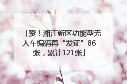 赞！湘江新区功能型无人车编码再“发证”86张，累计121张