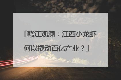 赣江观澜：江西小龙虾何以撬动百亿产业？