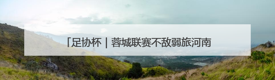 足协杯｜蓉城联赛不敌弱旅河南，泰山主场作战不妨“抄作业”