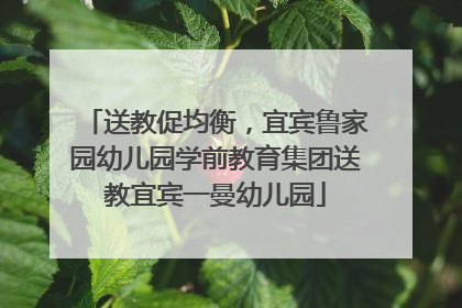 送教促均衡，宜宾鲁家园幼儿园学前教育集团送教宜宾一曼幼儿园