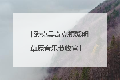 逊克县奇克镇黎明草原音乐节收官