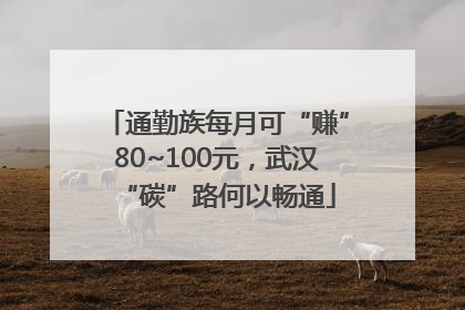通勤族每月可“赚”80~100元，武汉“碳”路何以畅通