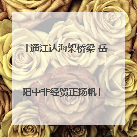 通江达海架桥梁 岳阳中非经贸正扬帆