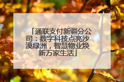 通联支付新疆分公司：数字科技点亮沙漠绿洲，智慧物业焕新万家生活