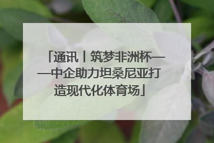 通讯丨筑梦非洲杯——中企助力坦桑尼亚打造现代化体育场