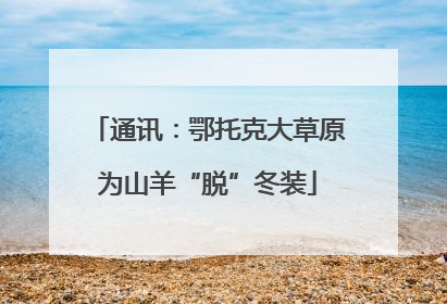 通讯：鄂托克大草原为山羊“脱”冬装