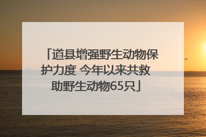 道县增强野生动物保护力度 今年以来共救助野生动物65只