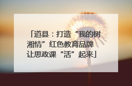 道县：打造“我的树湘情”红色教育品牌 让思政课“活”起来