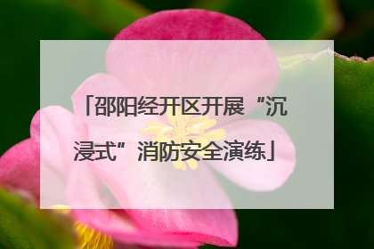 邵阳经开区开展“沉浸式”消防安全演练