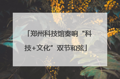 郑州科技馆奏响“科技+文化”双节和弦