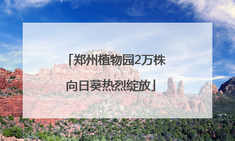 郑州植物园2万株向日葵热烈绽放