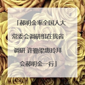 郝明金率全国人大常委会调研组在我省调研 许勤梁惠玲拜会郝明金一行