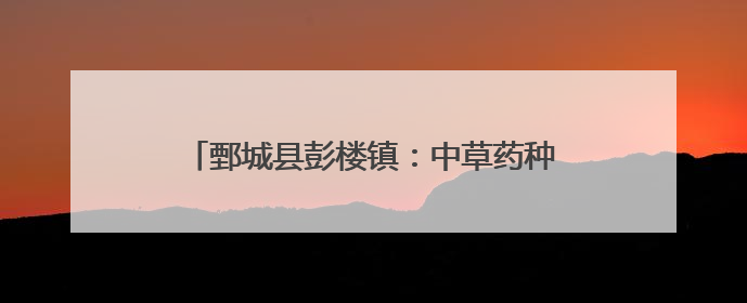 鄄城县彭楼镇：中草药种植打造致富“金钥匙”