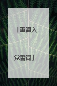 重温入党誓词